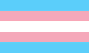 I am transgender! Transfeminine to be exact!